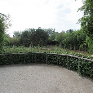 Cheetah Exhibit - viewing area