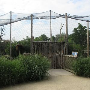 African Walk-in Aviary (4 species)