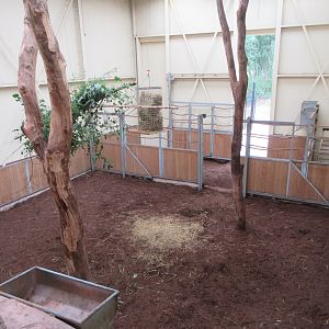 Reticulated Giraffe House