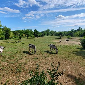 Aug. 2019 - African Journey - 3.8 Acre Savannah