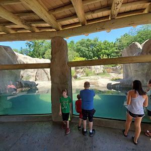 Aug. 2019 - New! River Otter Exhibit