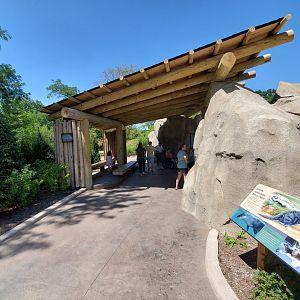 Aug. 2019 - New! River Otter Exhibit