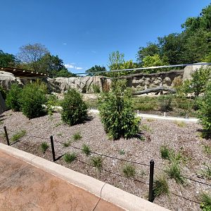 Aug. 2019 - New! River Otter Exhibit