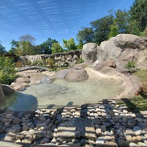 Aug. 2019 - New! River Otter Exhibit