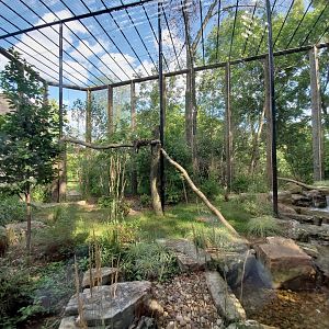 Aug. 2019 - Indonesian Rain Forest - New! Clouded Leopard Exhibit