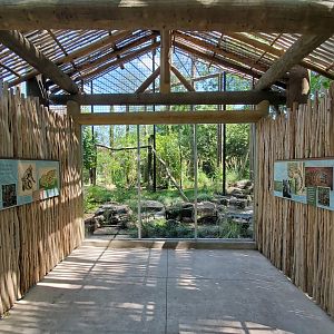 Aug. 2019 - Indonesian Rain Forest - New! Clouded Leopard Exhibit Viewing Shelter