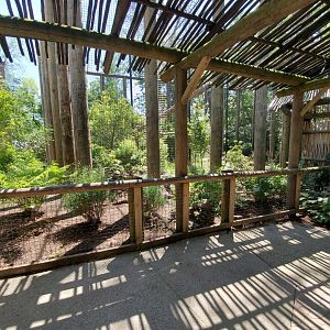 Aug. 2019 - Indonesian Rain Forest - New! Clouded Leopard Exhibit