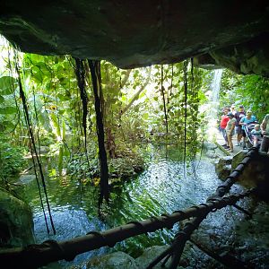 Aug. 2019 - Indonesian Rain Forest - Dome Waterfall