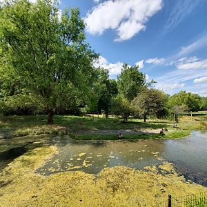 Aug. 2019 - African Journey - Sitatunga Exhibit