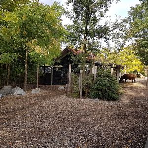 Red buffalo enclosure