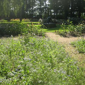 Den Jydske Rosenpark - General view