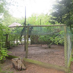 Den Jydske Rosenpark - Peafowl aviary