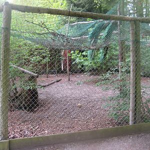 Den Jydske Rosenpark - Peafowl aviary