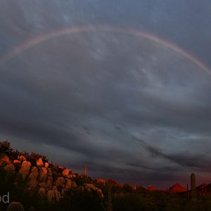 rainbow over museum grounds