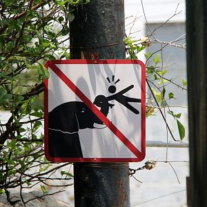 Helpful Elephant sign