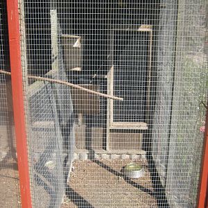 Den Jydske Rosenpark - Red-rumped parrot aviary