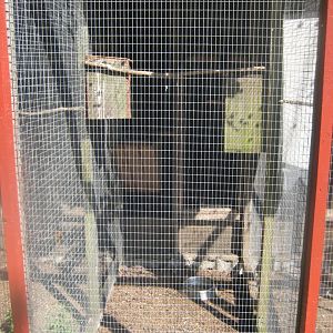 Den Jydske Rosenpark - Rosella aviary