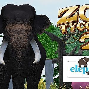 ZT2 Sri Lankan Elephant Exhibit - YouTube