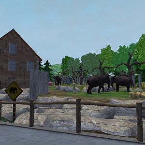 ZT2 Sri Lankan Elephant Exhibit