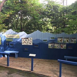 2019 Renovated Songbird Garden