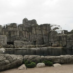 Eismeer - Pacific Walrus Exhibit #1