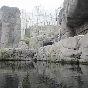 Eismeer - Polar Bear Exhibit