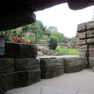 Eismeer - Humboldt Penguin Exhibit