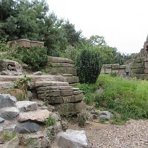 Eismeer - Humboldt Penguin Exhibit