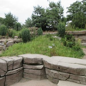 Eismeer - Humboldt Penguin Exhibit