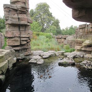 Eismeer - Seabird Aviary
