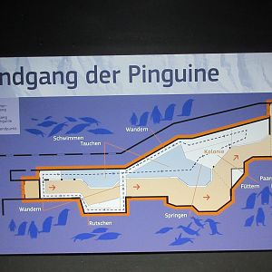 Eismeer - King/Gentoo Penguin Exhibit Map