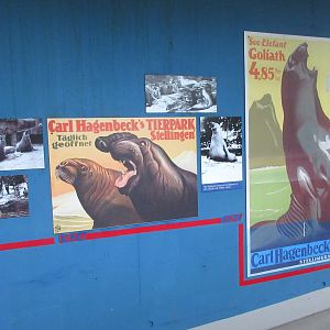 Eismeer - Historical Posters