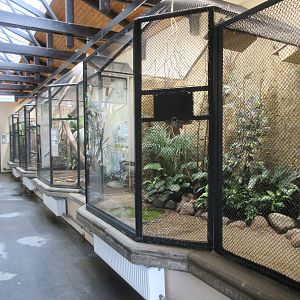 Bird House - entire interior area