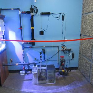 Mangrove Exhibit- Support Systems