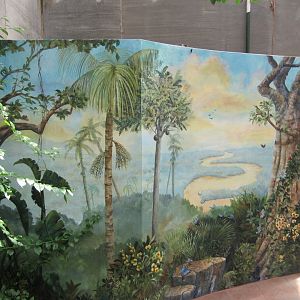 Butterfly Mural-New in 2019