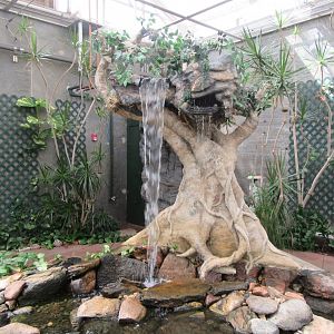 Waterfall-New in 2019