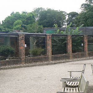 African Crested Porcupine enclosure - 11 August 2019