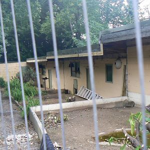 Former aviaries - 11 August 2019