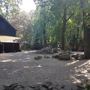 Forest reindeer-enclosure