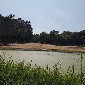 View over the African Savanna