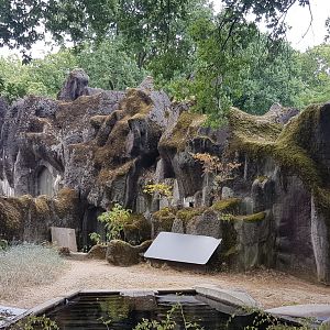 Some left-overs of Hagenbeck style enclosure from past days