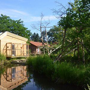 New Enclosure Construction at Rheine, 18/06/19