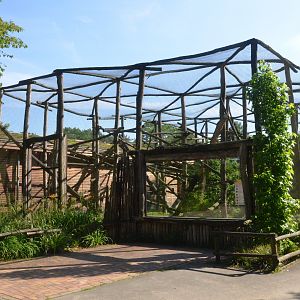 New Lemur Complex at Rheine, 18/06/19