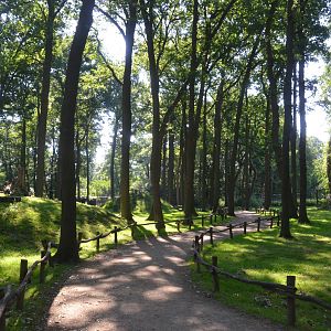 Barbary Macaque Walkthrough at Rheine, 18/06/19