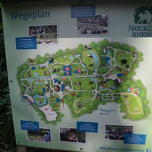 Current Map at Rheine, 18/06/19