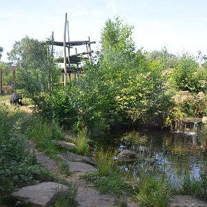 Sloth Bear and Golden Jackal Enclosure at Rheine, 18/06/19
