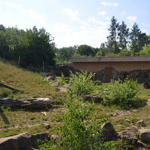 Sloth Bear and Golden Jackal Enclosure at Rheine, 18/06/19