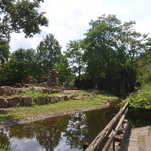 Gelada Enclosure at Rheine, 18/06/19