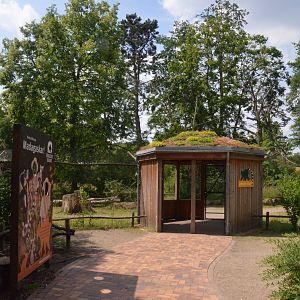 New Lemur Complex at Rheine, 18/06/19