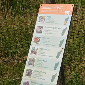 New Lemur Complex at Rheine, 18/06/19